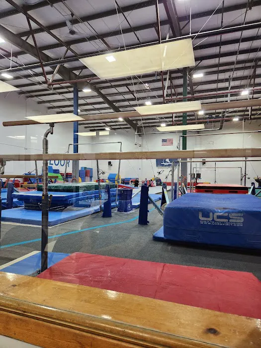 Flippin' Out Tumbling & Gymnastics Picture 5