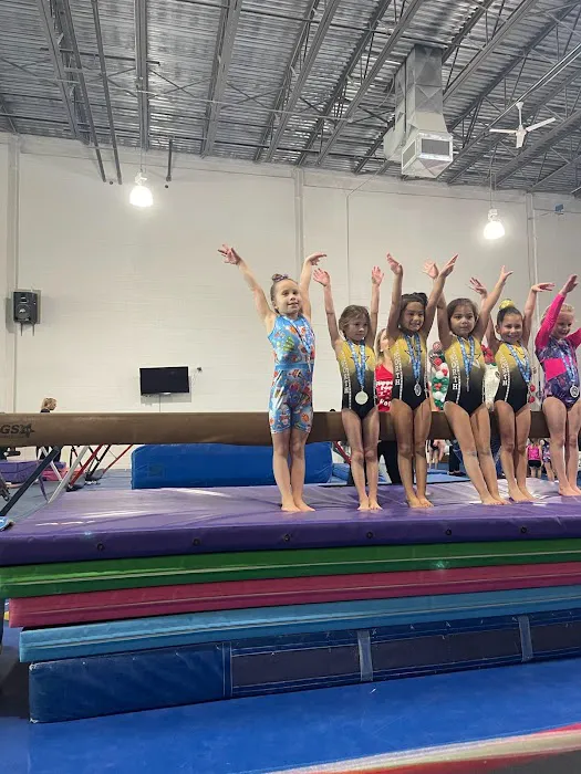 North Stars Gymnastics Academy Picture 1