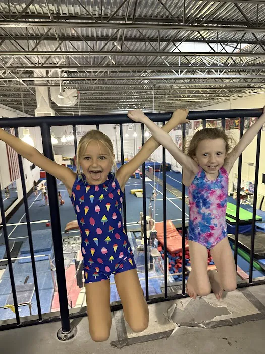 North Stars Gymnastics Academy Picture 2