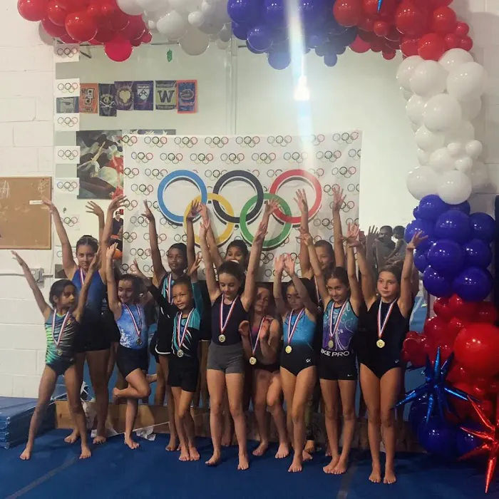 North Stars Gymnastics Academy Picture 5