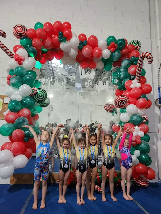 North Stars Gymnastics Academy Picture 3