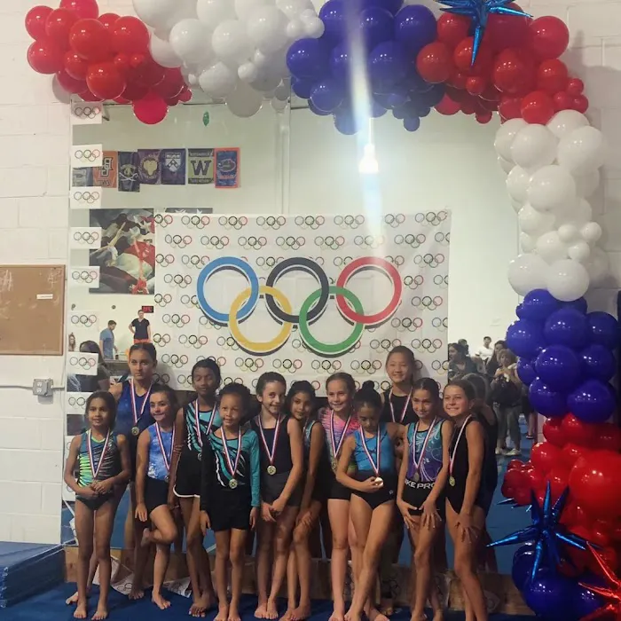 North Stars Gymnastics Academy Picture 4