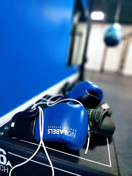 No Labels Boxing Fitness Picture 4
