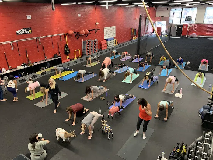 Sweat Fitness And Performance Picture 7