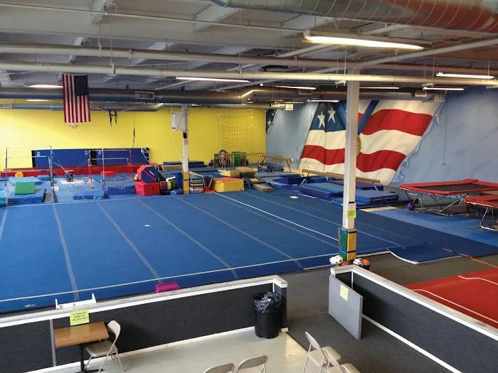 Diamond Gymnastics Academy Picture 7
