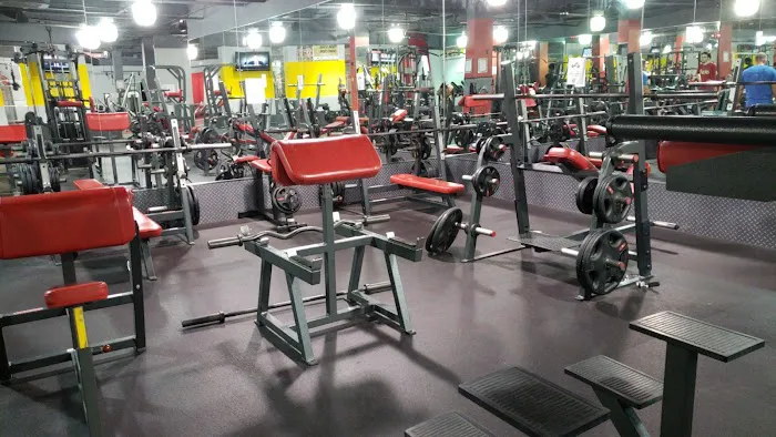 Strength and Fitness Club Picture 5