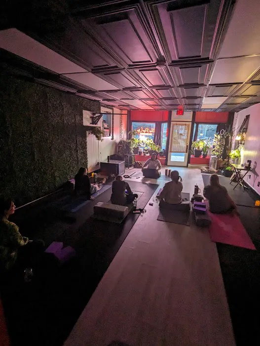 The Pop Up Wellness Center Picture 2