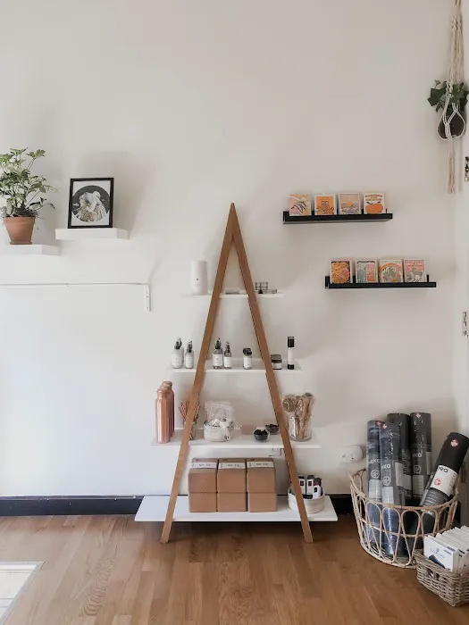 Alchemy House of Yoga Picture 10
