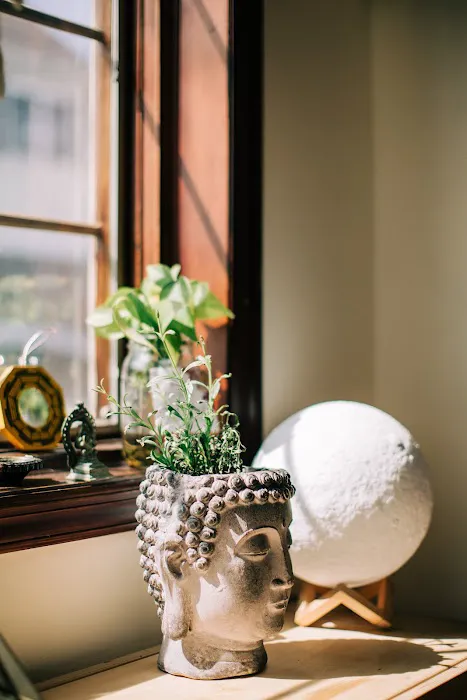 Alchemy House of Yoga Picture 9