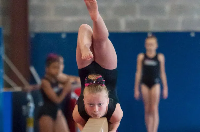 Synergy Sportz Picture 3