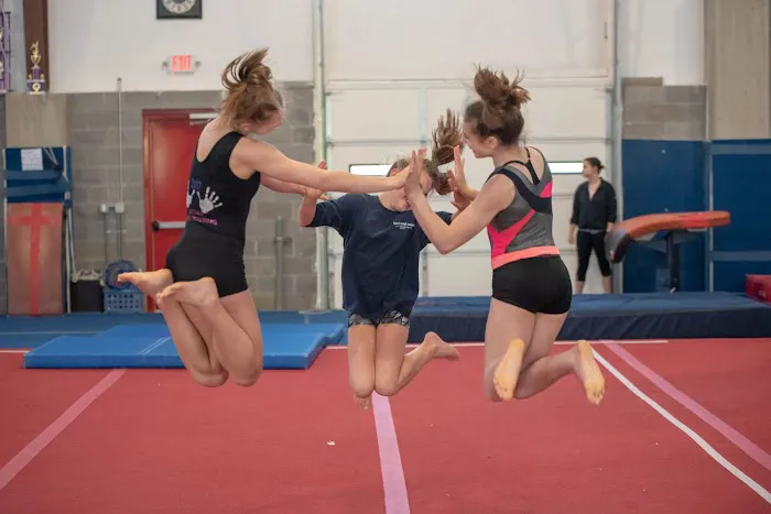 Synergy Sportz Picture 2