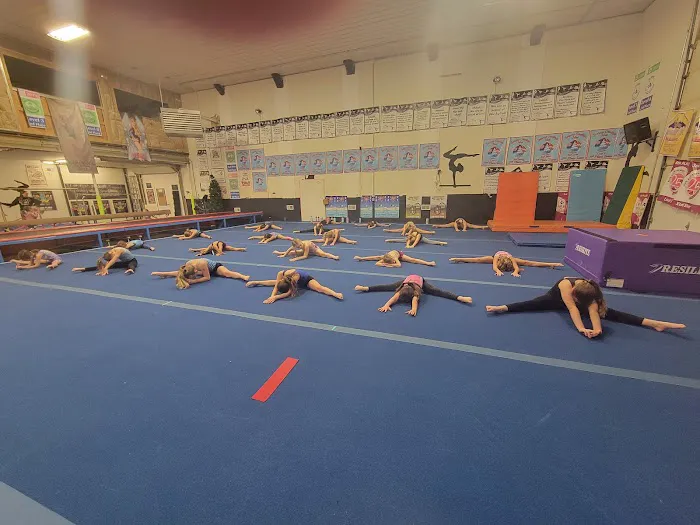 Flipncheer Picture 5