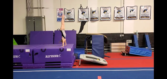 Flipncheer Picture 2