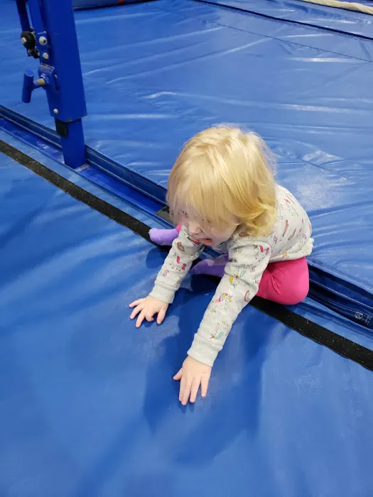 Flip Over Gymnastics Open Picture 7