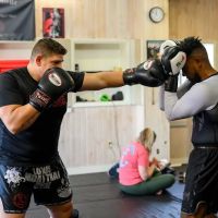 Nine Realms MMA ico