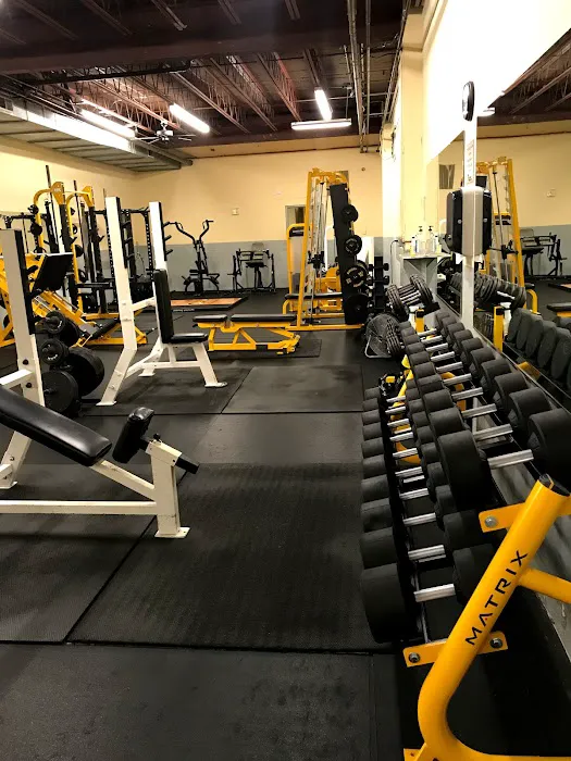 G Force Fitness Picture 2