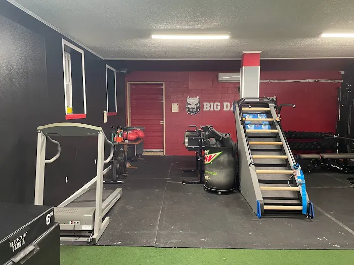 Kastle Boxing Picture 2