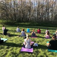 Wholehearter Yoga ico
