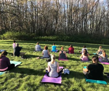 Wholehearter Yoga