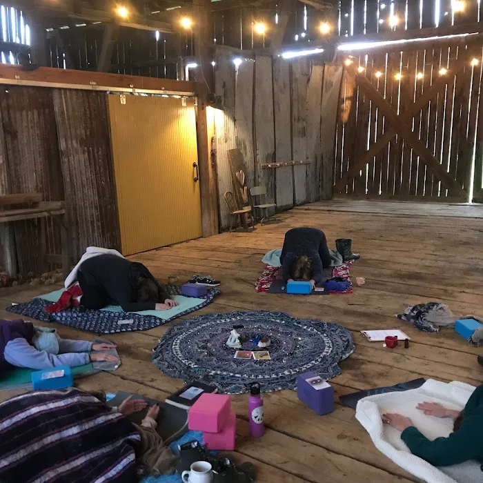Wholehearter Yoga Picture 2
