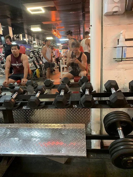 American Family Fitness Center Picture 3