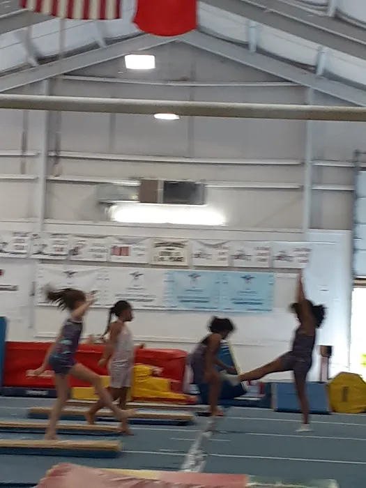 Southern Tier Gymnastics And Cheer Picture 3