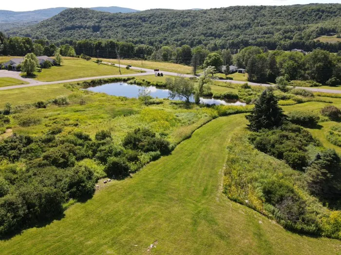 PLaYCatskills Picture 9