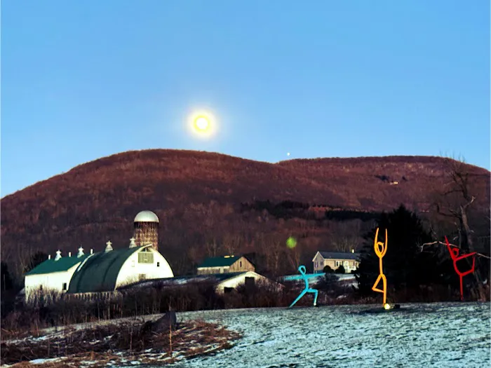 PLaYCatskills Picture 5