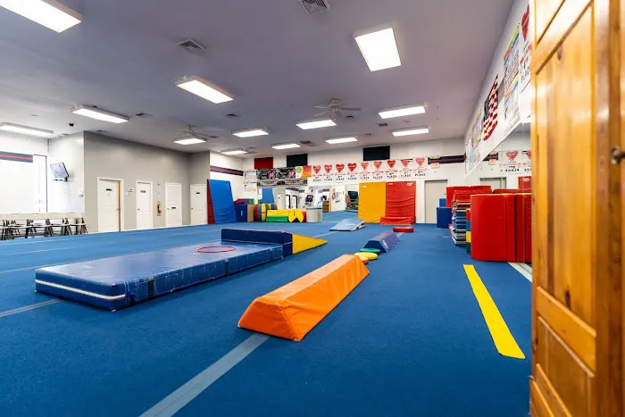 All Around Gymnastics Picture 6