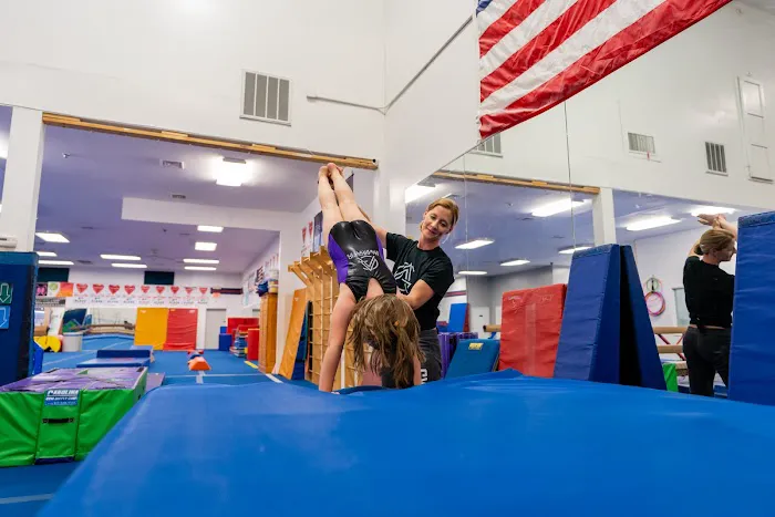 All Around Gymnastics Picture 8