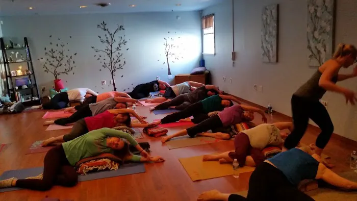 Rae of Light Yoga Picture 7