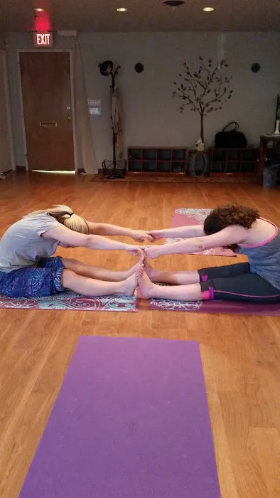 Rae of Light Yoga Picture 8