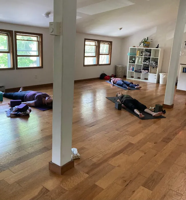 Ananda Ashram Yoga Studio Picture 3