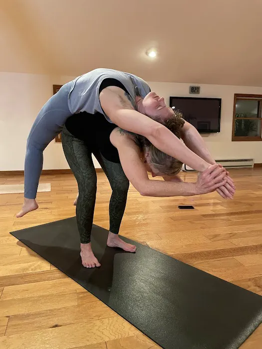 Ananda Ashram Yoga Studio Picture 2