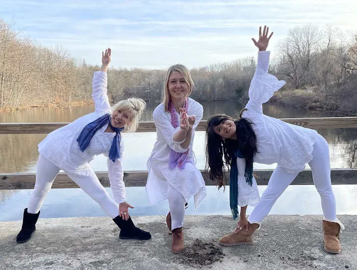 Ananda Ashram Yoga Studio Picture 4