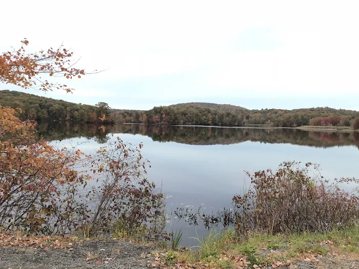 Tichy Field Picture 9