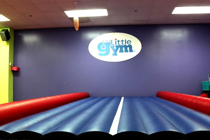 The Little Gym of Wayne Picture 6