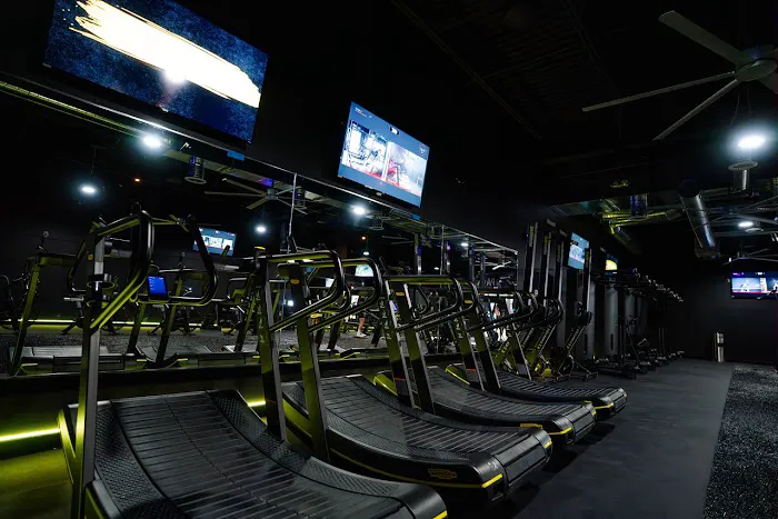 Alpha Fit Club Picture 5