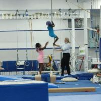 Surgent's Elite School of Gymnastics ico
