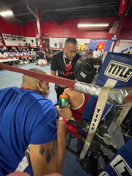 Park Elite Boxing Academy Picture 10