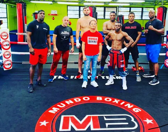 Park Elite Boxing Academy Picture 3