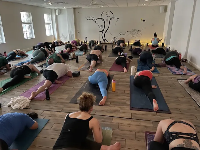 Hot Yoga Revolution Picture 5