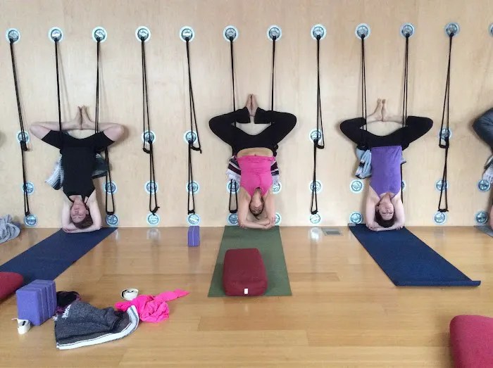 Shakti Yoga & Living Arts Picture 10