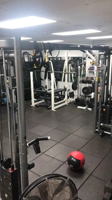 Wizfitness Picture 4