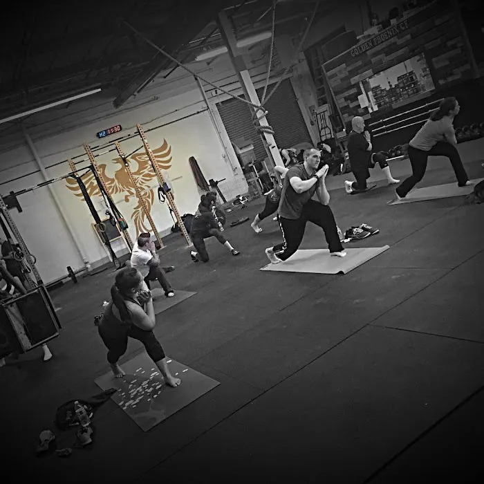 Golden Phoenix CrossFit Picture 9