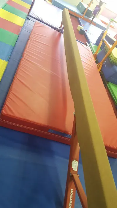 The GYM For Kids Picture 4