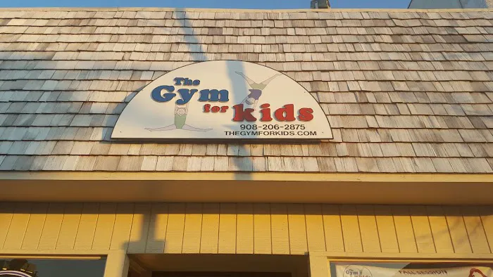 The GYM For Kids Picture 6