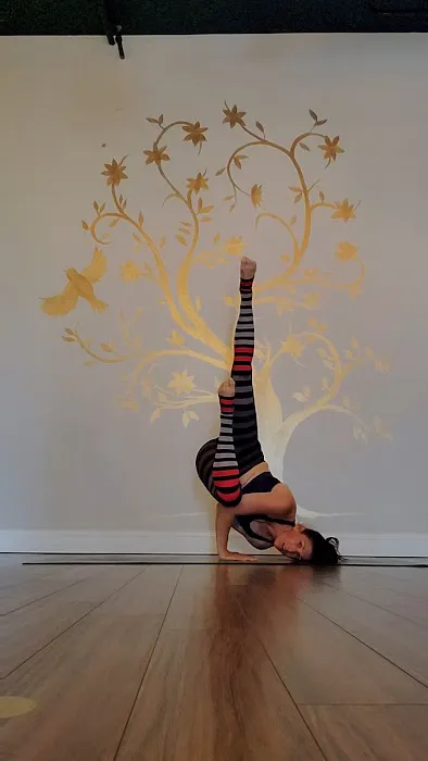 Indigo Yoga Picture 6