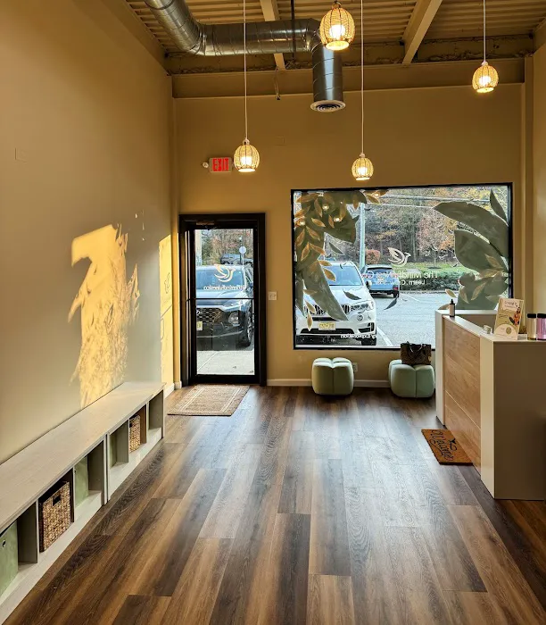 The Mindfulnest Co. Picture 9