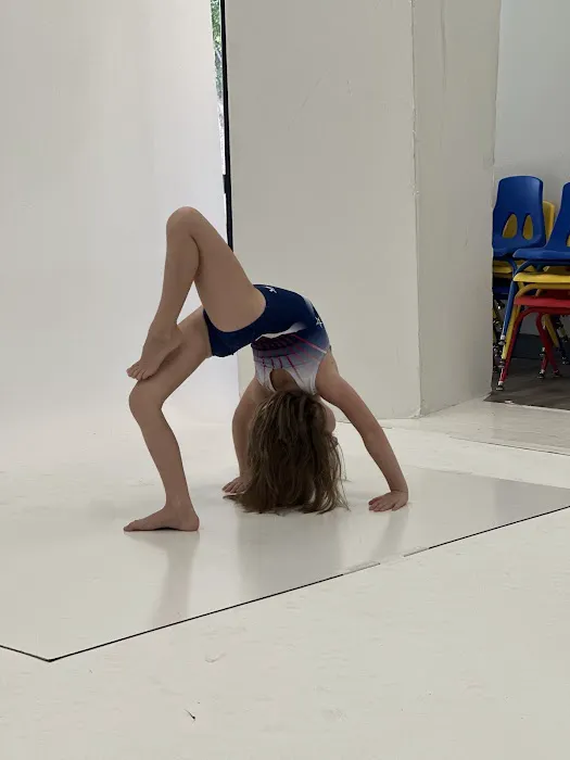 USA Twisterz Picture 3